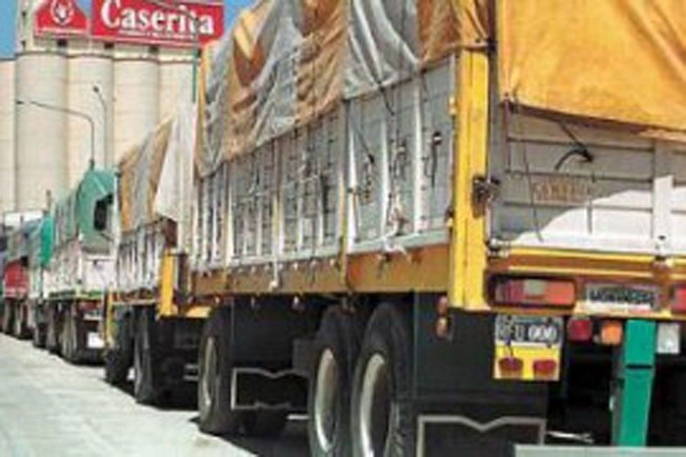 Camioneros denuncian que son víctimas de reiterados robos desde hace seis meses