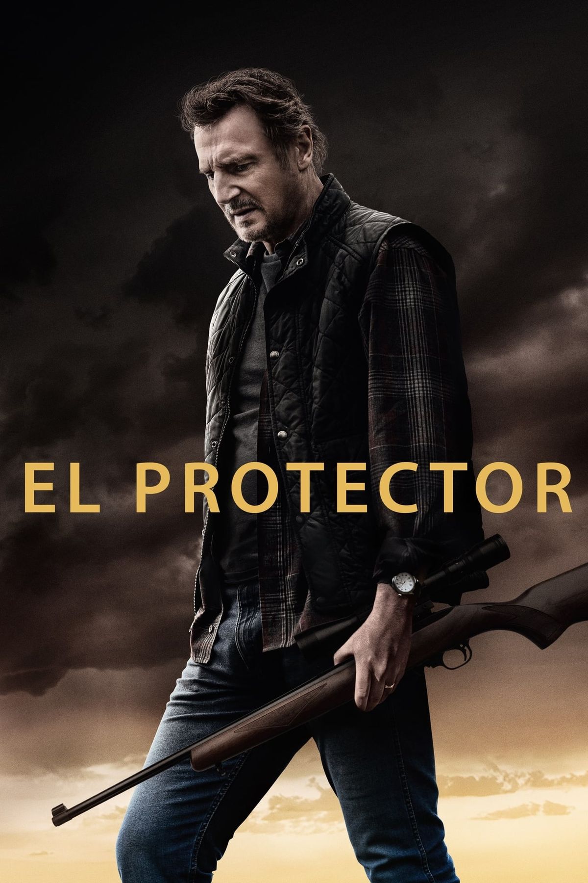 El protector. Liam Neeson la rompen en Netflix con este peliculón. El protector. Liam Neeson la rompen en Netflix con este peliculón. 