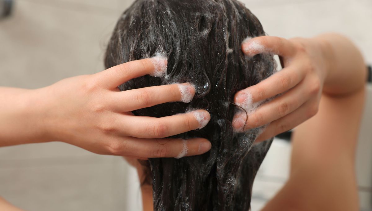 Masajea el pelo con la yema de tus dedos por unos minutos. Masajea el pelo con la yema de tus dedos por unos minutos. 