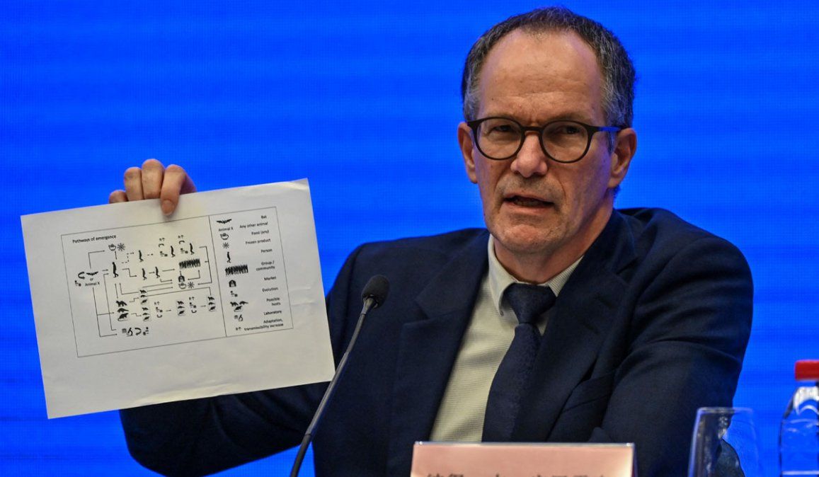 Investigación en Wuhan: todo continúa señalando a que el SARS-CoV-2 coronavirus procede de los murciélagos.