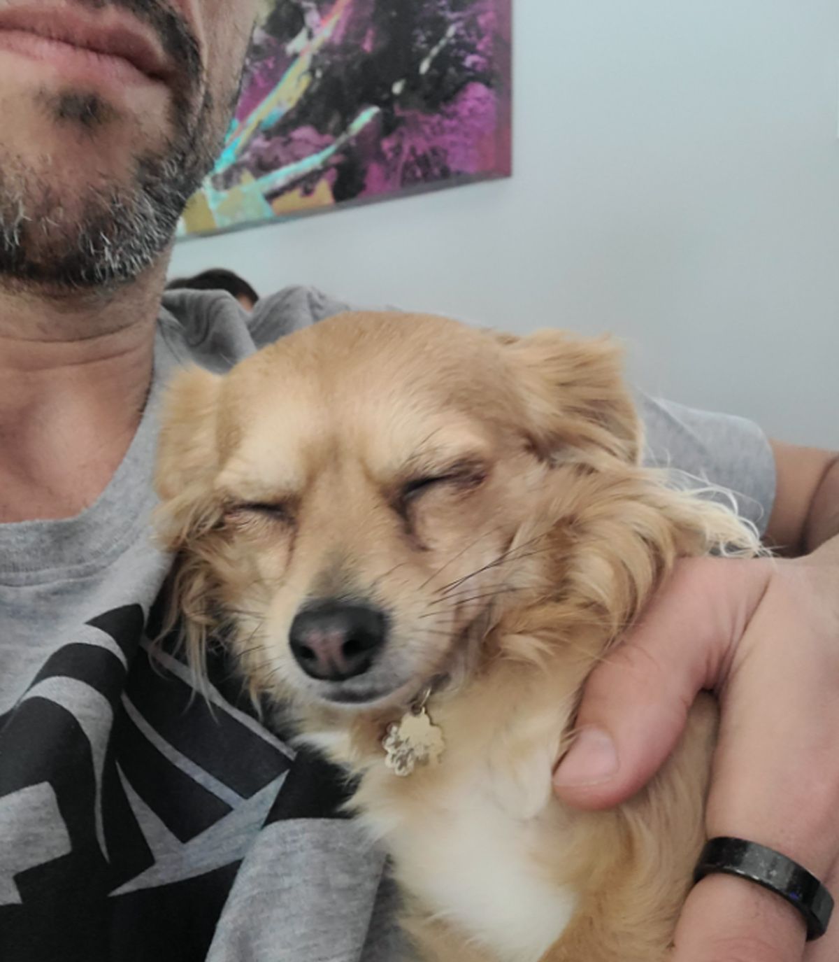 Pipa, la perra de los Ginóbili, se relajó viendo la final