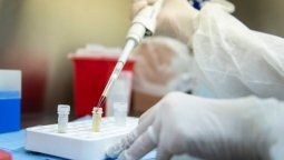 Coronavirus hoy: cuántos casos confirmados y muertos hay en Argentina al 5 de mayo