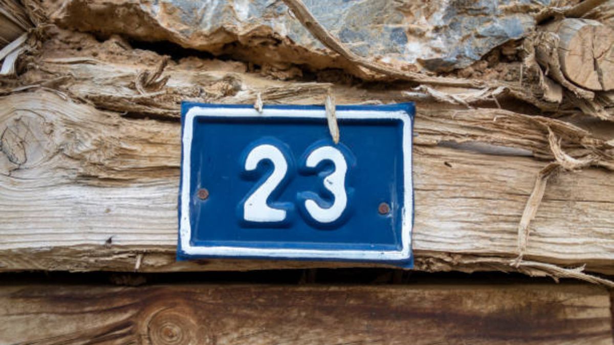 Este 23 de enero puede ser un día especial, de acuerdo a las predicciones de la numerología. Este 23 de enero puede ser un día especial, de acuerdo a las predicciones de la numerología.