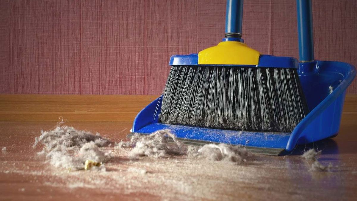 Limpiar el polvo y la pelusa de todas las superficies de la casa, es una tarea que se tiene que hacer prácticamente a diario. Limpiar el polvo y la pelusa de todas las superficies de la casa, es una tarea que se tiene que hacer prácticamente a diario.