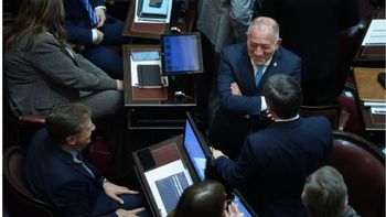 Con apoyo de Juri y Suarez, el Senado trata la ley de propiedad privada y extranjerización de tierras