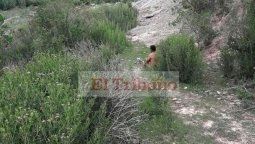Intentó violar a una niña y quedó libre a las 24 horas Intentó violar a una niña y quedó libre a las 24 horas