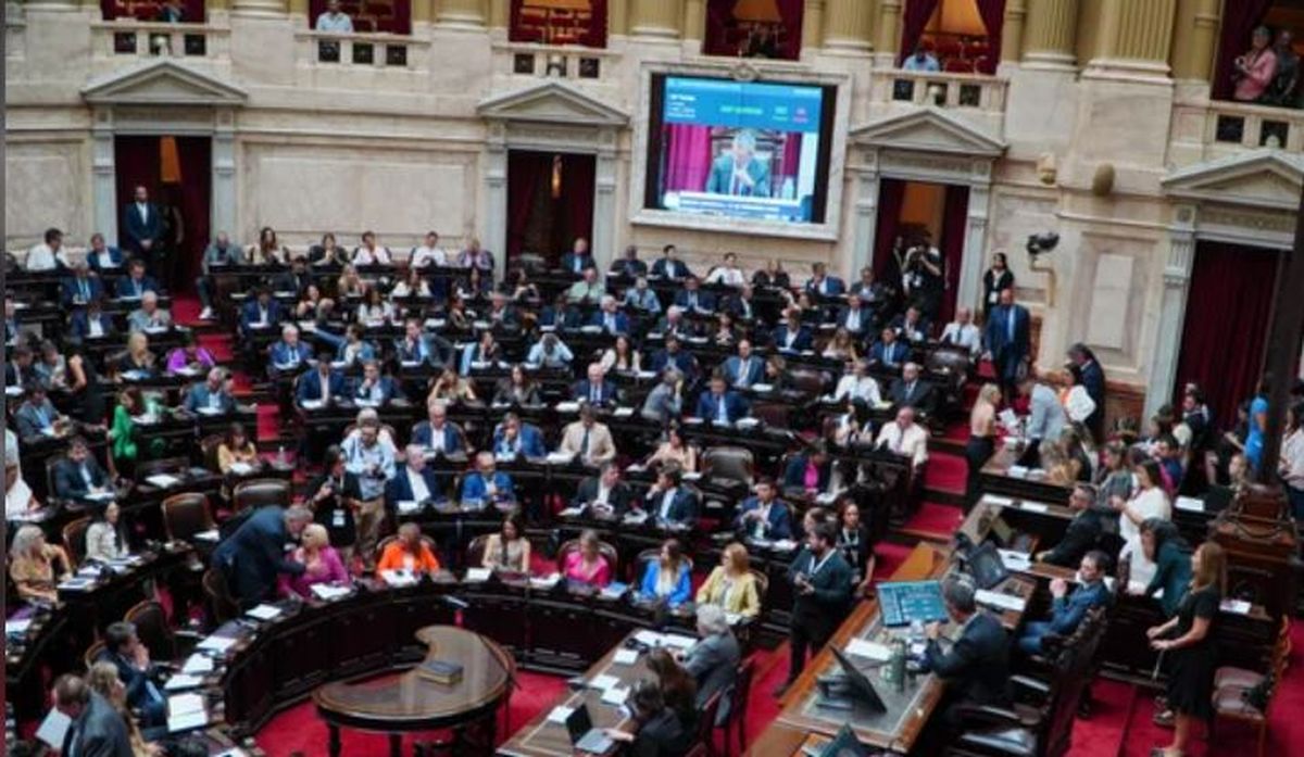 Diputados dio el OK para la eliminación de las PASO.