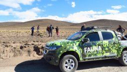 Más de 16 mil hectáreas son relevadas por Ambiente tras los incendios en Potrerillos