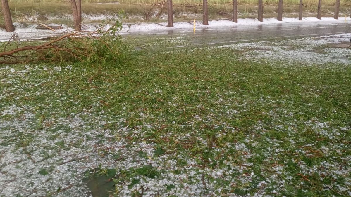 El granizo afectó unos 13 kilómetros, en zona de cultivos y secano. El granizo afectó unos 13 kilómetros, en zona de cultivos y secano.