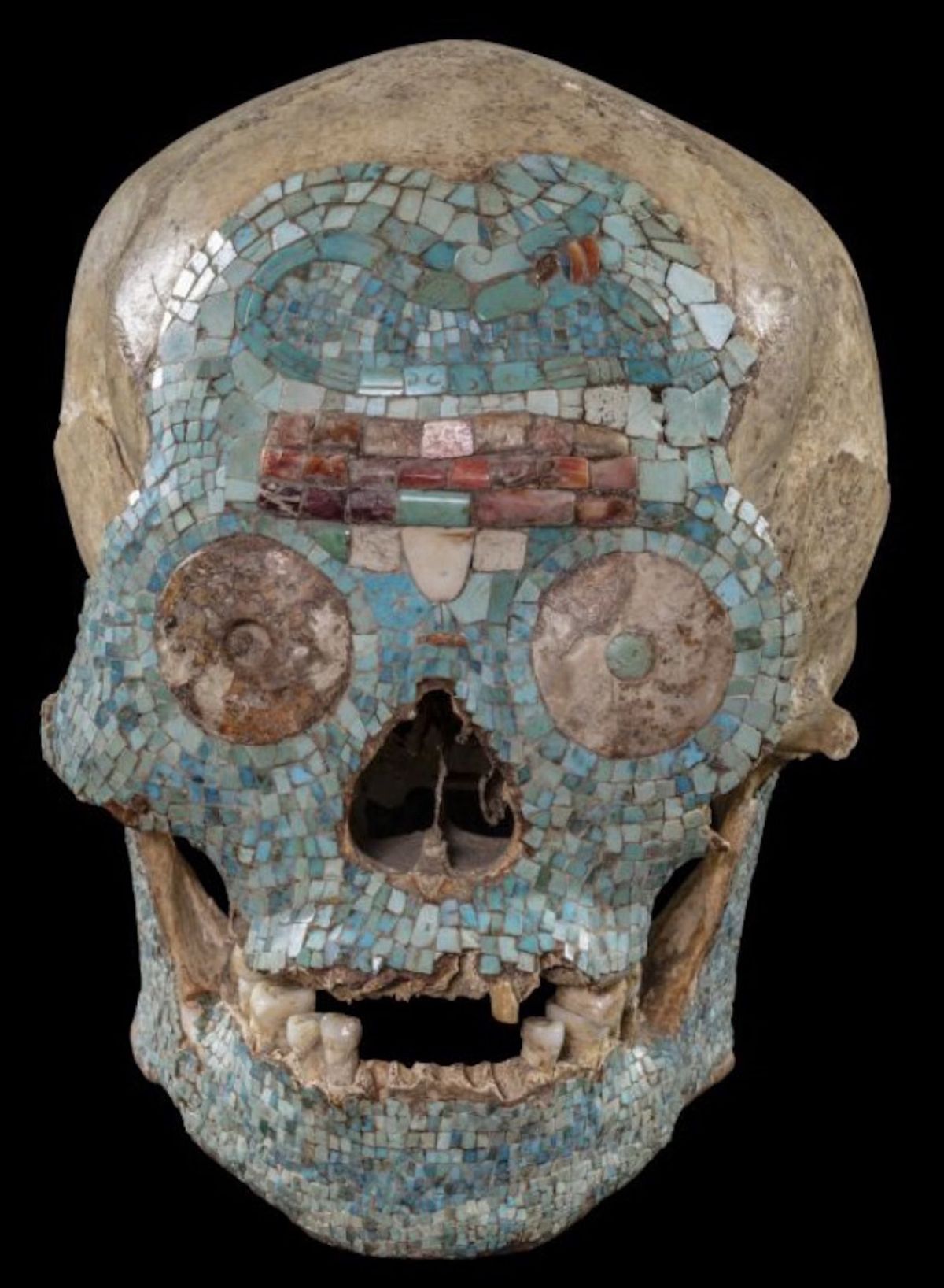 La calavera es de mucha importancia para la arqueolog&iacute;a mexicana, y ahora ser&aacute; expuesta en ese pa&iacute;s.