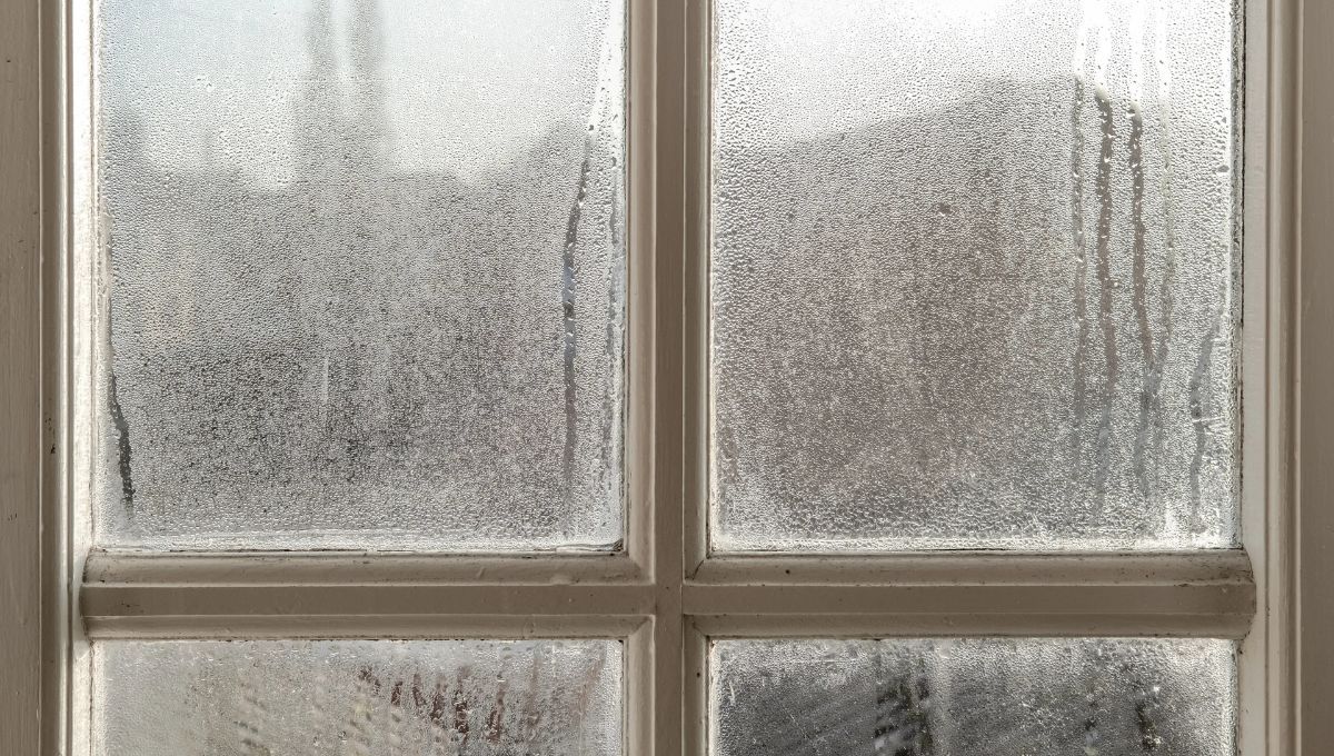Truco casero: cómo hago para que mis vidrios no se empañen en invierno