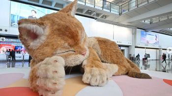 China: un gato gigante revoluciona el aeropuerto de Hong Kong