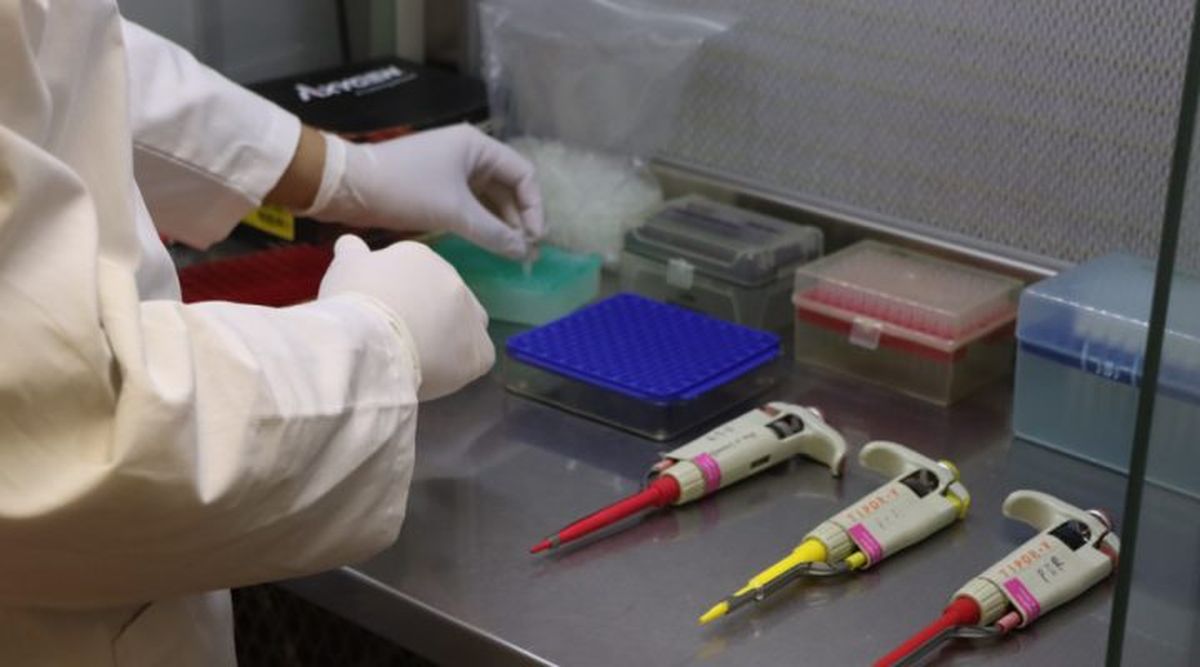 Descubrimiento de Conicet y Harvard plantea que hay un linage genético único de Argentina