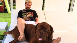 Todos han notado la ausencia de Hulk, el famoso perro del clan Messi