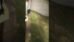 Cecilia ya llegó a Brasil y comenzó su cuarentena