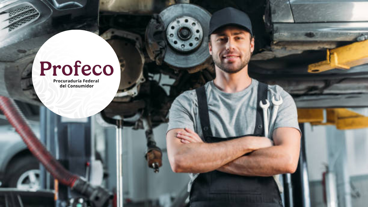 Se trata de distintos vehículos de tres grandes empresas que operan en México.