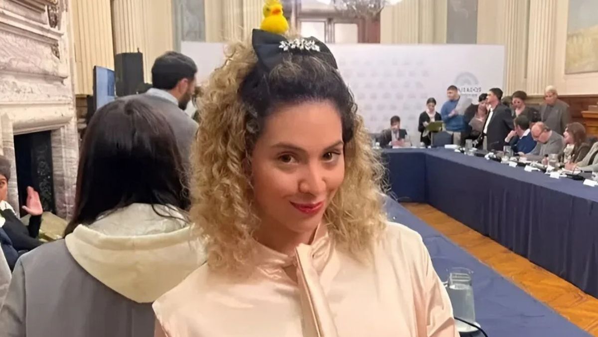 Patitos. Lourdes Arrieta, diputada mendocina, en una reunión de comisiones. Patitos. Lourdes Arrieta, diputada mendocina, en una reunión de comisiones.