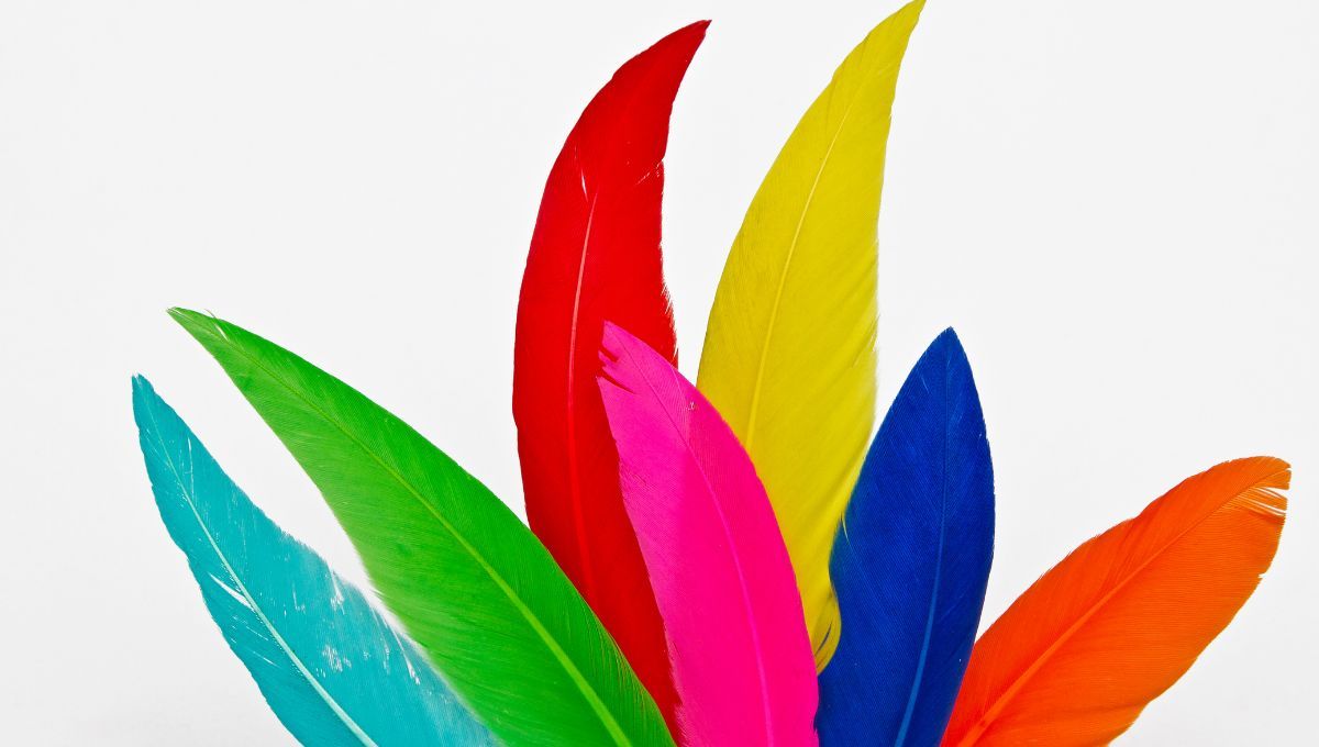 ¿Qué significa encontrar una pluma de color?