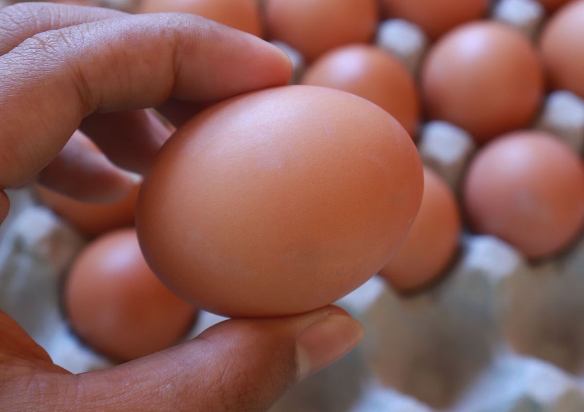 Con este truco casero tus huevos conservarán la frescura por más tiempo