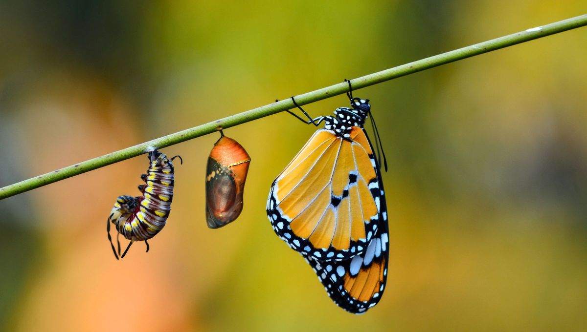 El lema chinno de hoy dice: &ldquo;Lo que se va, ense&ntilde;a. Lo que llega, transforma.&rdquo;