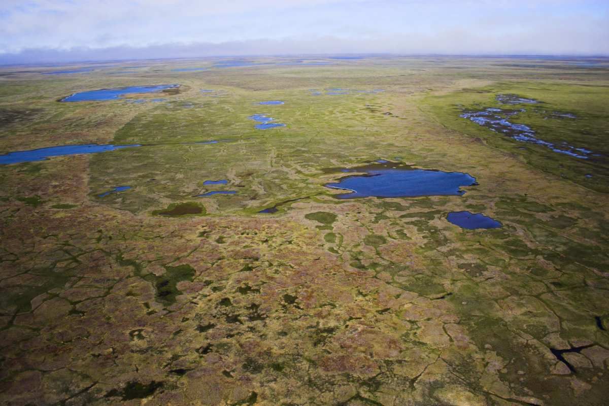 Científicos descubren microbios del pasado que despiertan y comienzan a comer carbono