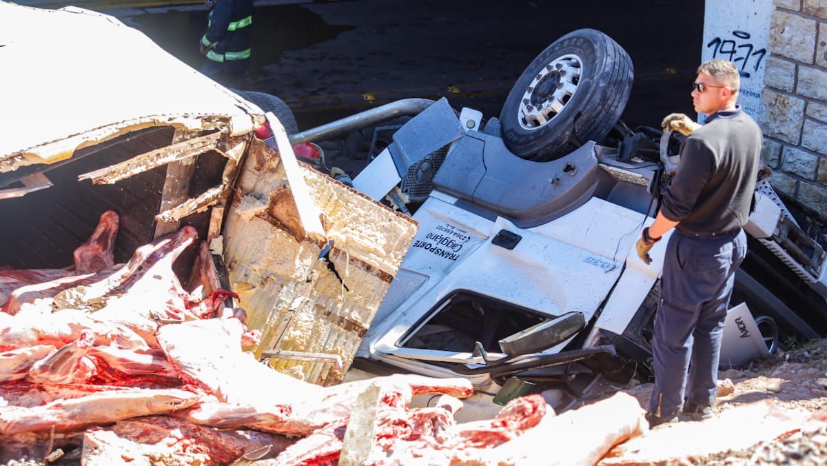 El accidente del camión dejó carne tirada por todos lados a la vera del Acceso Este.