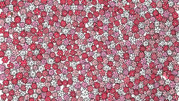Sólo un GENIO con vista de HALCÓN puede encontrar las CINCO ESTRELLAS ocultas en el acertijo visual