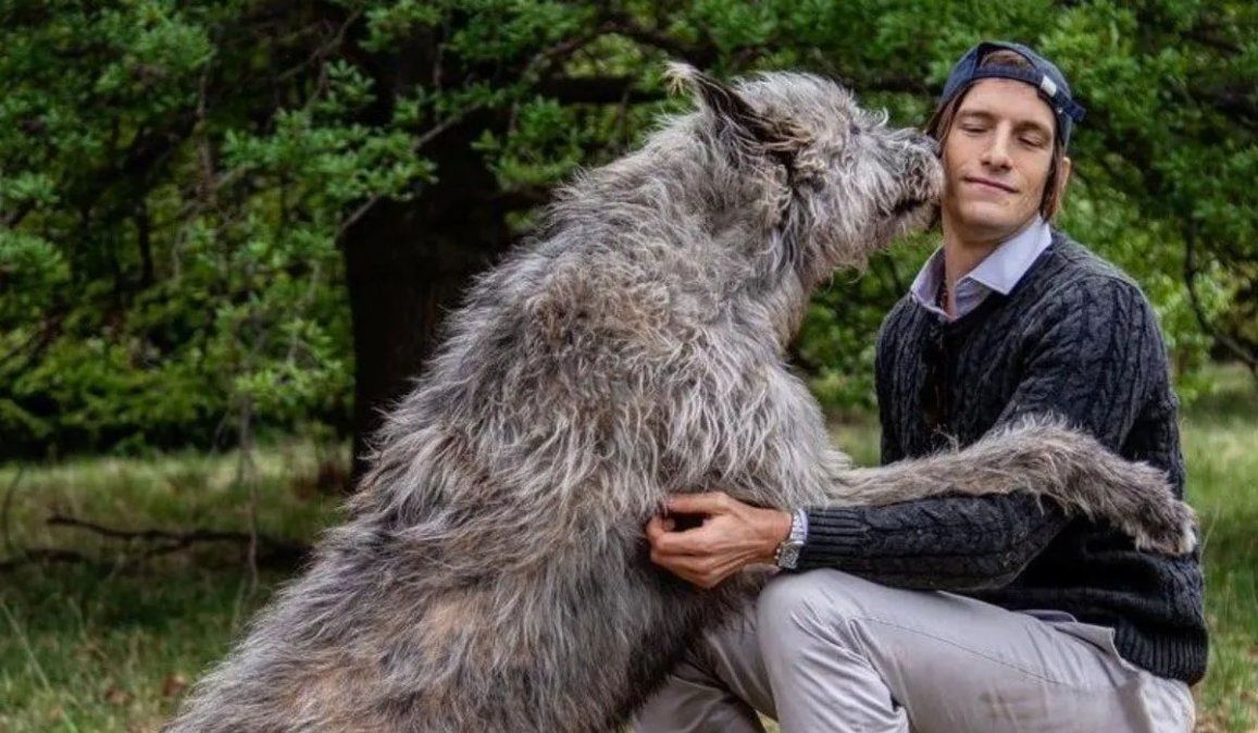 Iván de Pineda y su perro gigante son furor en las redes