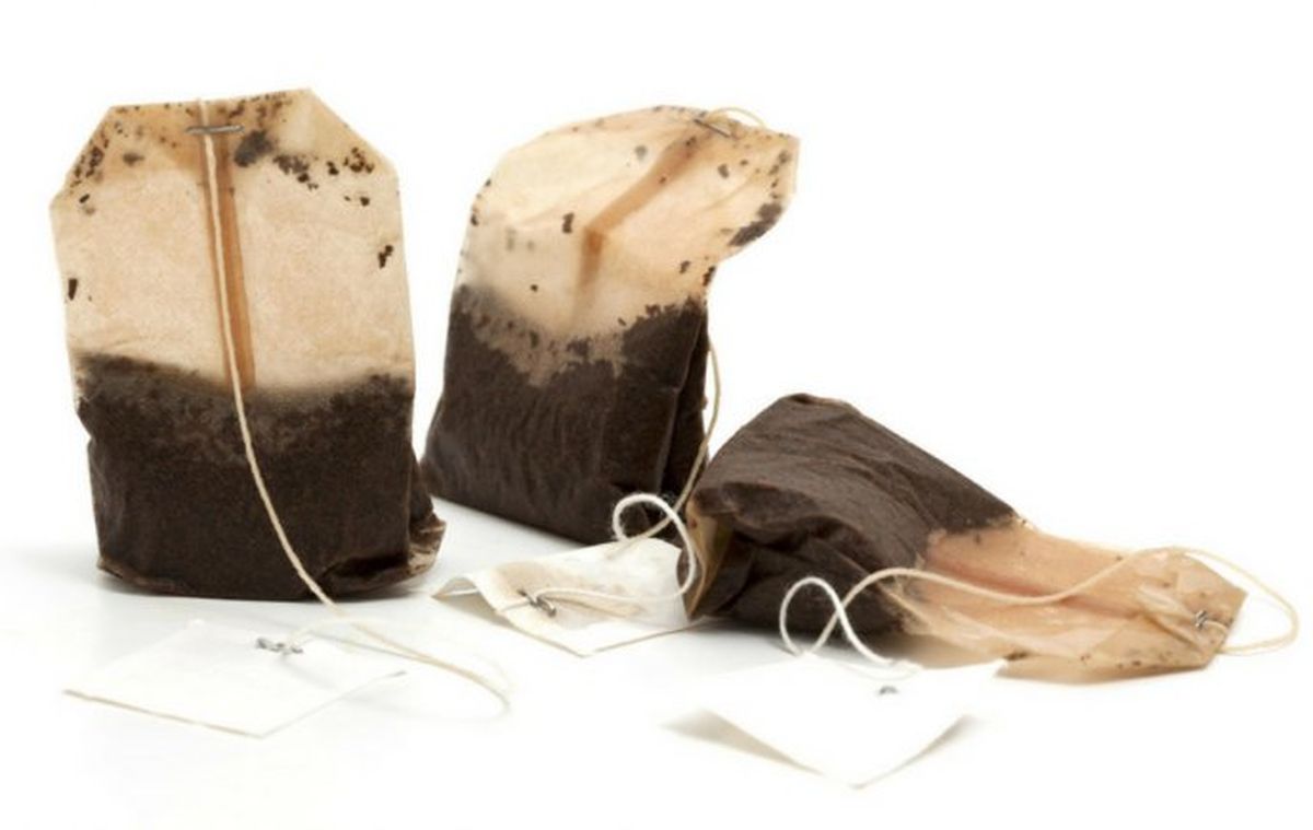 Los sacos de t&eacute; pueden ser utilizados en beneficio de los &aacute;rboles en tu jard&iacute;n.&nbsp;