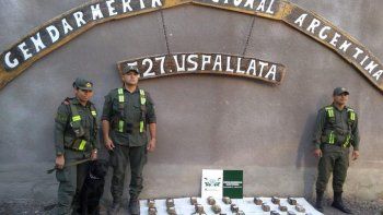 Dos perros detectaron más de 15 kilos de marihuana en un camión que iba a Chile