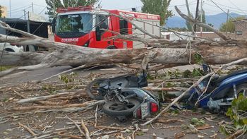 Un hombre murió y otro está grave tras la caída de un árbol por el viento Zonda en Las Heras
