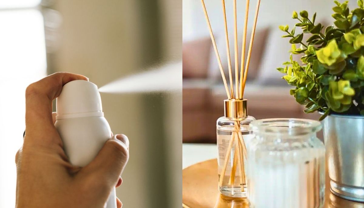 Prepara un ambientador casero para el hogar. Imagen: Composición Diario Uno.