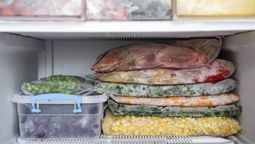 Congela y descongela efectivamente los alimentos de tu freezer