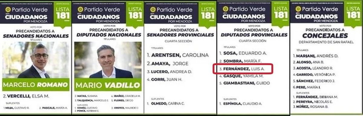 Esta es la boleta del Partido Verde en la que figura Luis Antonio Fernández como candidato a diputado provincial por el cuarto distrito electoral. 