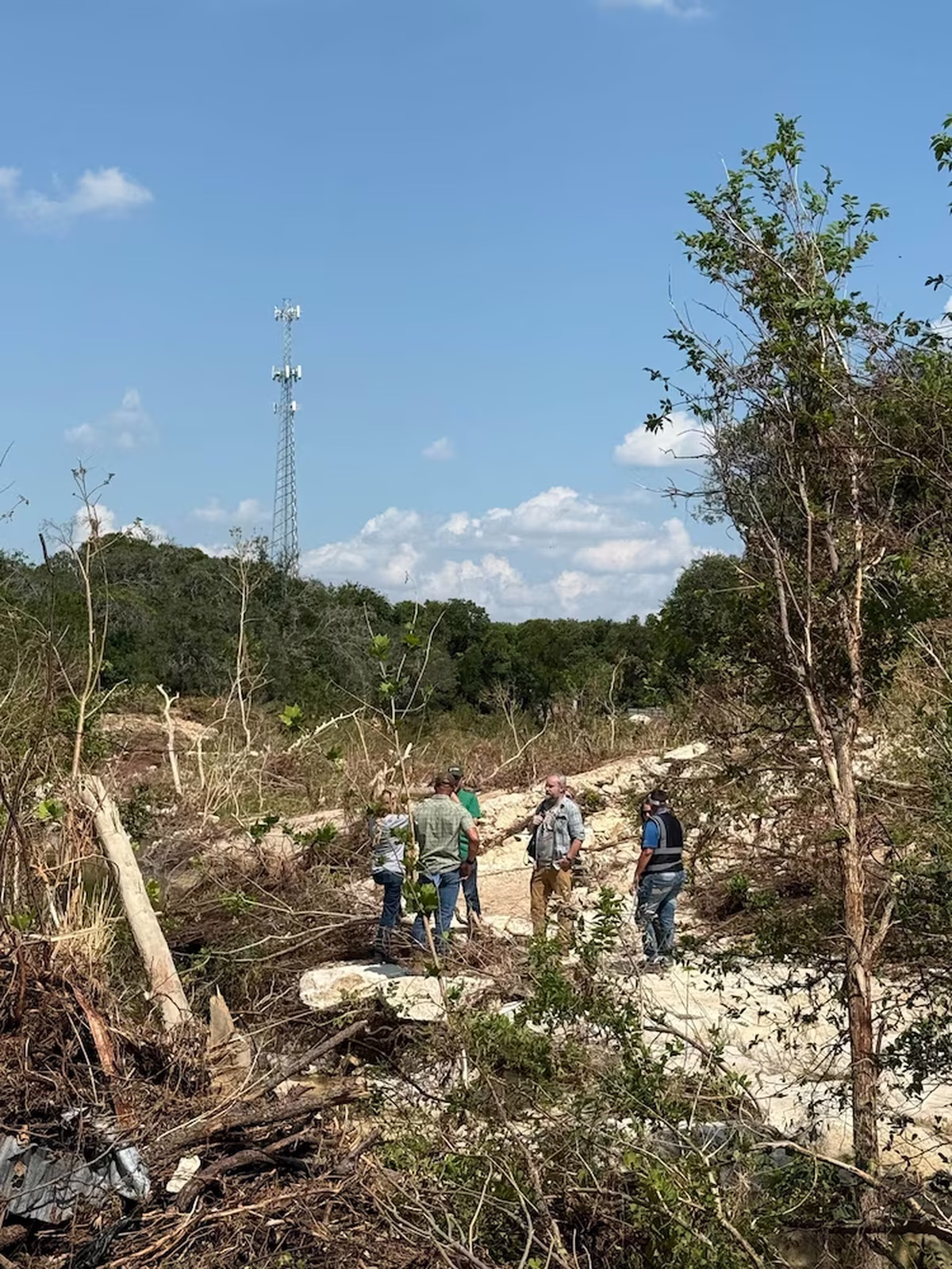Un equipo de paleontólogos trabajó en el descubrimiento. Un equipo de paleontólogos trabajó en el descubrimiento.