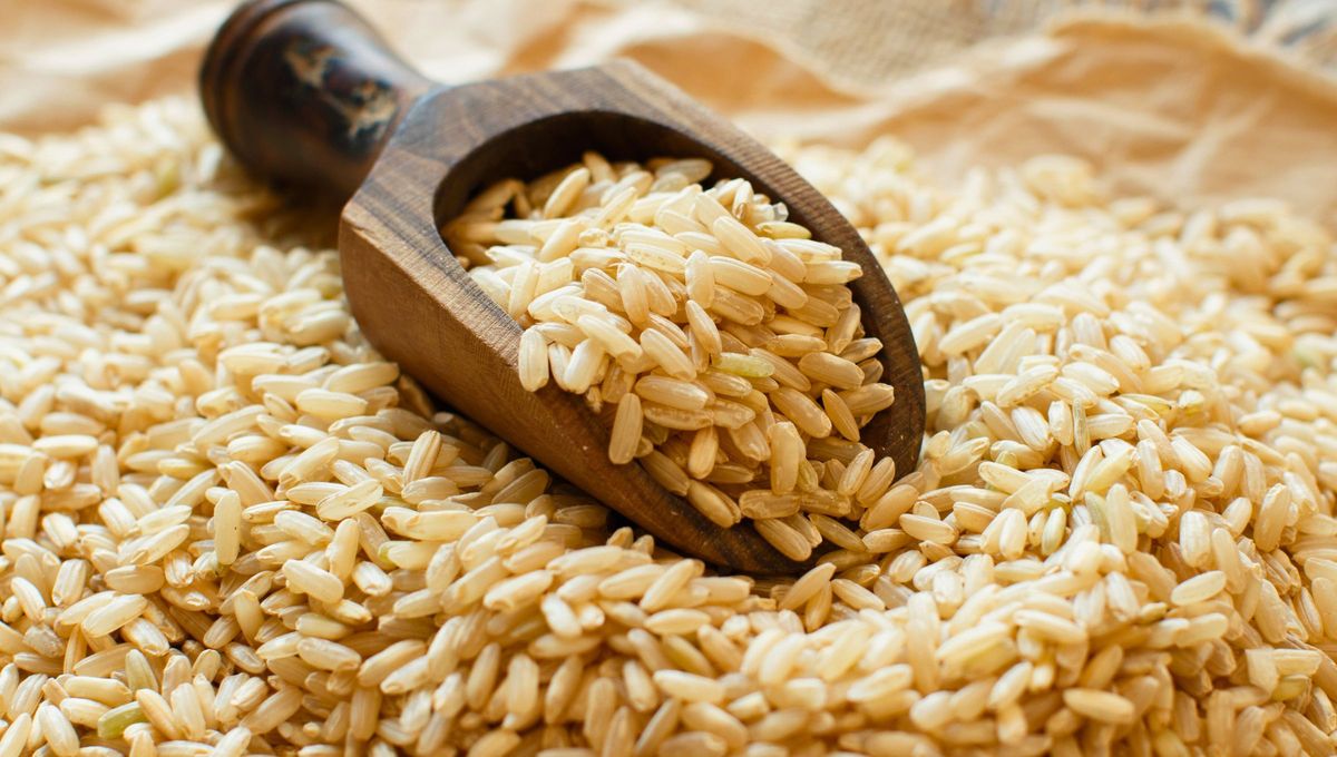 El arroz integral tiene algunas diferencias a la hora de la cocción respecto del blanco. Si optas por el primero, durará más tiempo caliente en la cama El arroz integral tiene algunas diferencias a la hora de la cocción respecto del blanco. Si optas por el primero, durará más tiempo caliente en la cama