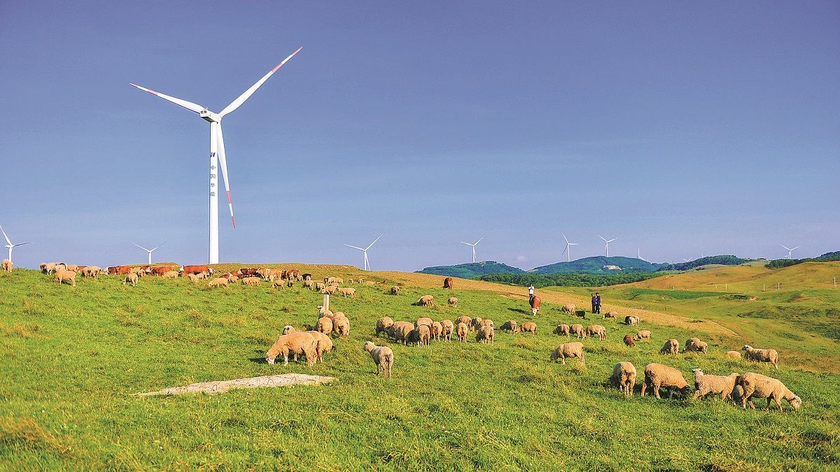 Las turbinas eólicas generan energía limpia en los prados del condado autónomo de las etnias yi, hui y miao de Weining en Bijie, provincia de Guizhou. LI JINGCHENG / PARA CHINA DAILY
