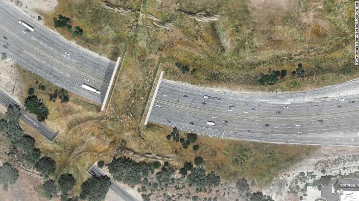 Esta autopista será la más grande del mundo
