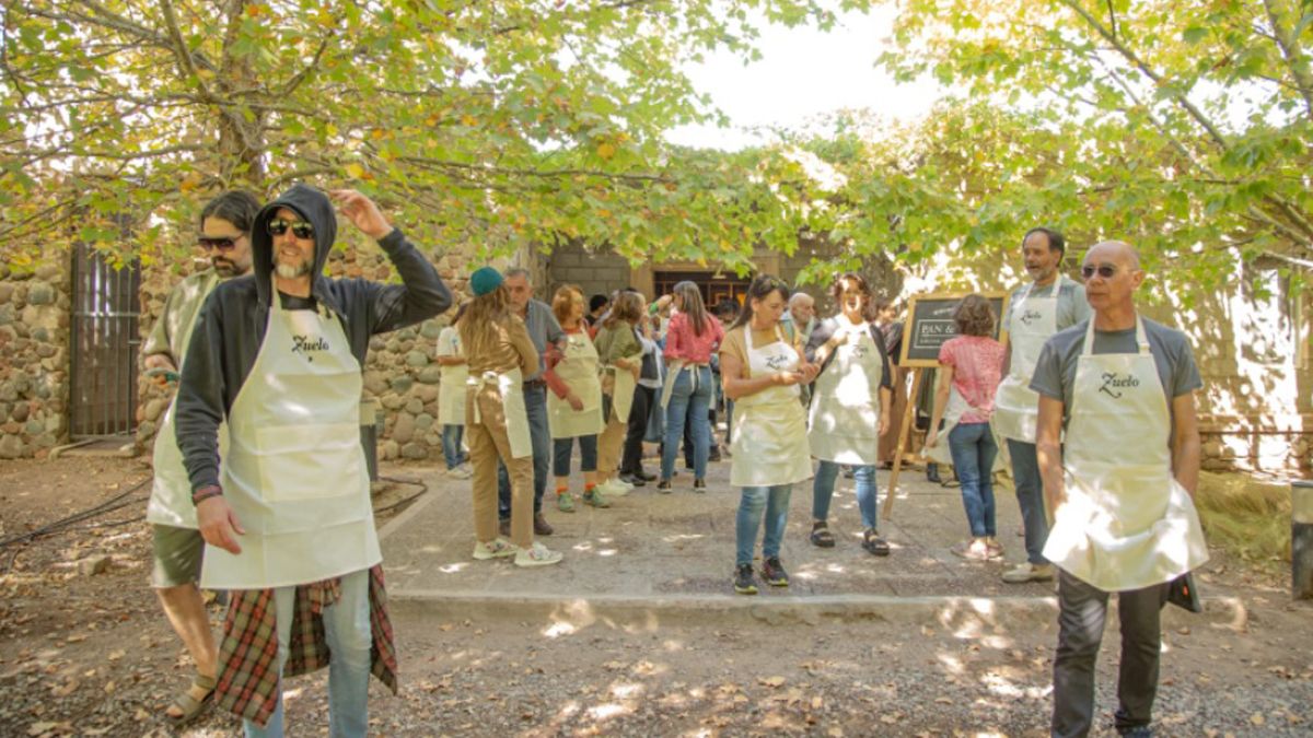 Los artistas visuales, listos para iniciar la cosecha de aceitunas.