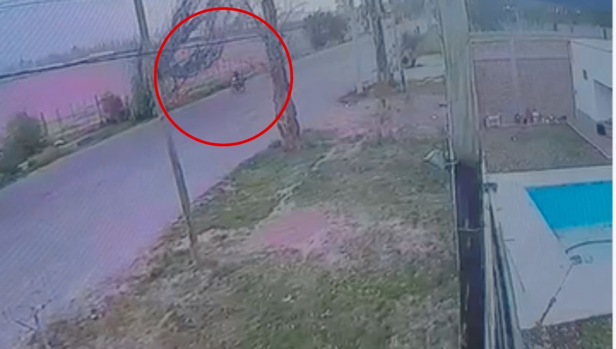 Un repartidor de Pedidos Ya se salvó al caerle un árbol encima durante el viento en Mendoza.