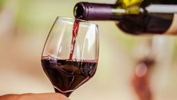 Beneficios de tomar vino.