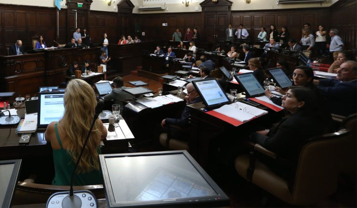 Natacha Eisenchlas comenzó presidiendo la sesión de este martes en la que se aprobó el proyecto de ley de OSEP.