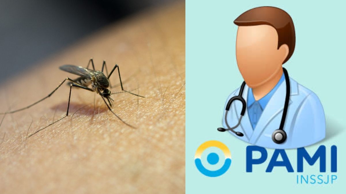 PAMI confirmó un nuevo programa para jubilados: adiós dengue