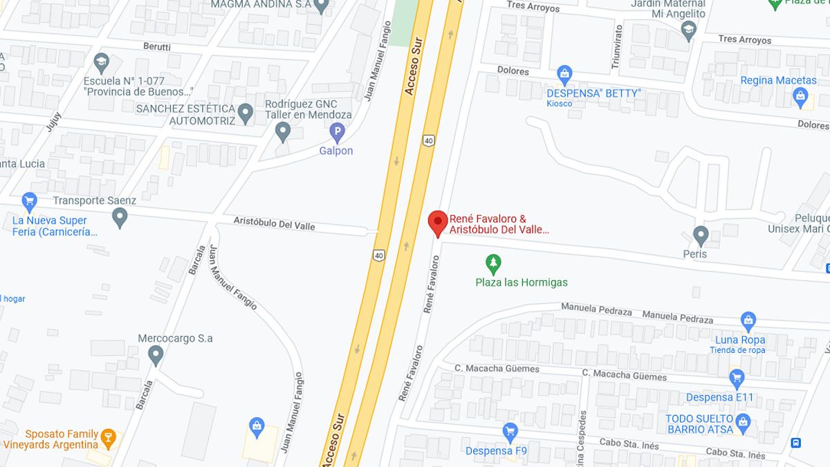 La víctima confió en el hombre que le dijo que sabía dónde estaba su perra y le dio la moto para que manejara.