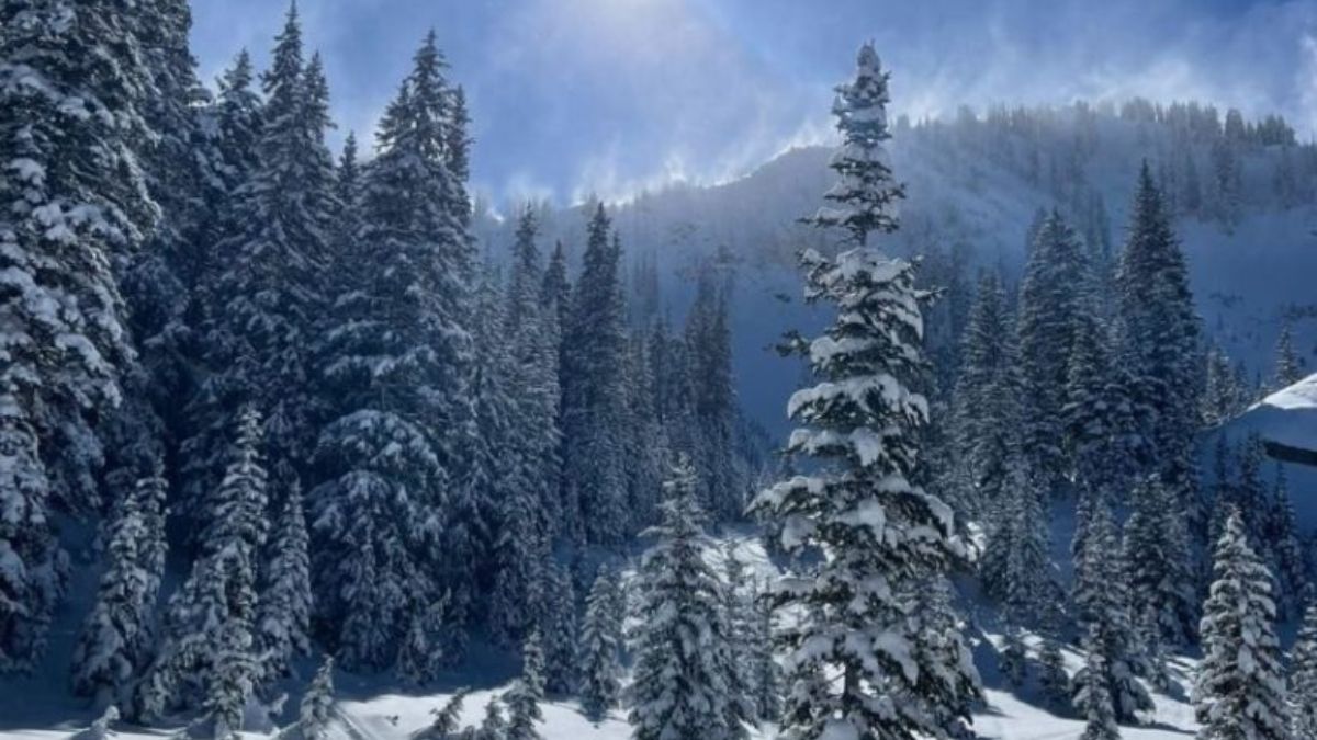 Foto: Jenny Rudin. Foto: Jenny Rudin.