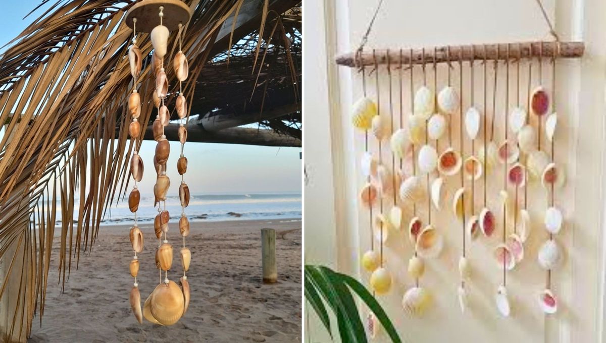 Transformá tus caracoles en esta idea maravillosa Transformá tus caracoles en esta idea maravillosa