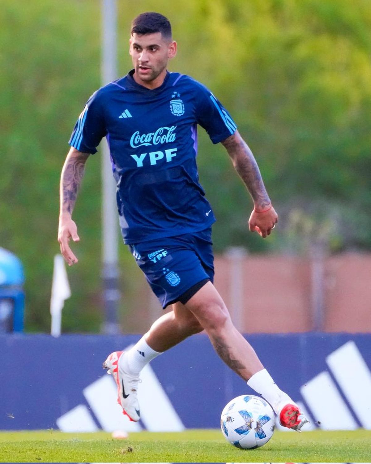 Cuti Romero será uno de los titulares de la Scaloneta