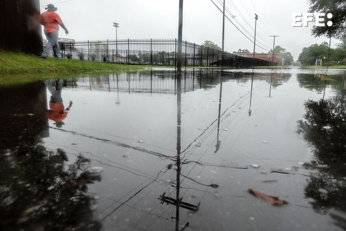 Los estragos tras el paso del huracán Debby: inundaciones y árboles caídos. Crédito: EFE: Los estragos tras el paso del huracán Debby: inundaciones y árboles caídos. Crédito: EFE: