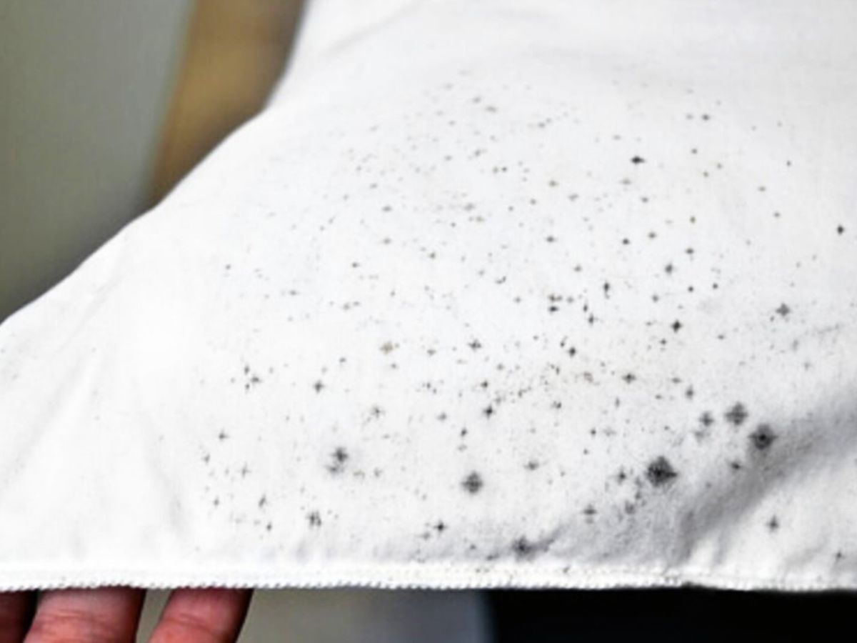 La efectiva mezcla de dos ingredientes que elimina las manchas de moho en la ropa blanca La efectiva mezcla de dos ingredientes que elimina las manchas de moho en la ropa blanca