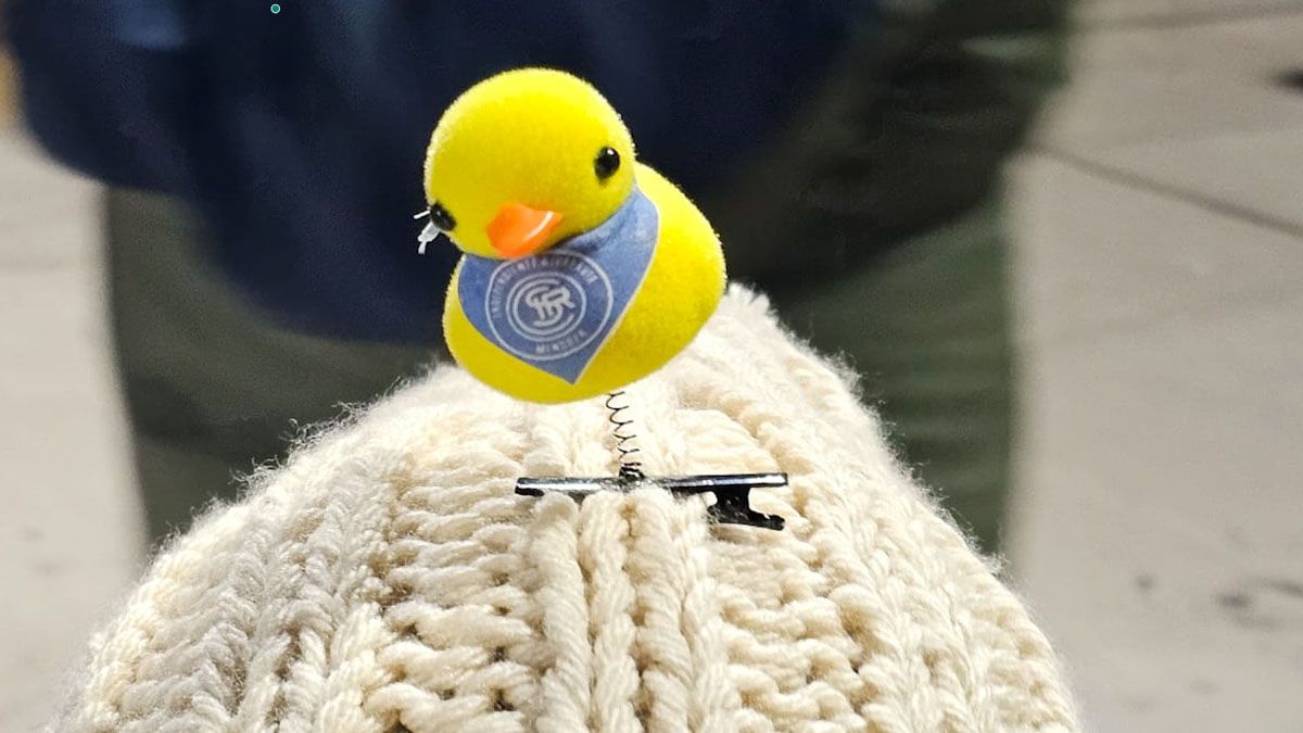 Los Patitos leprosos fueron furor. Los Patitos leprosos fueron furor.